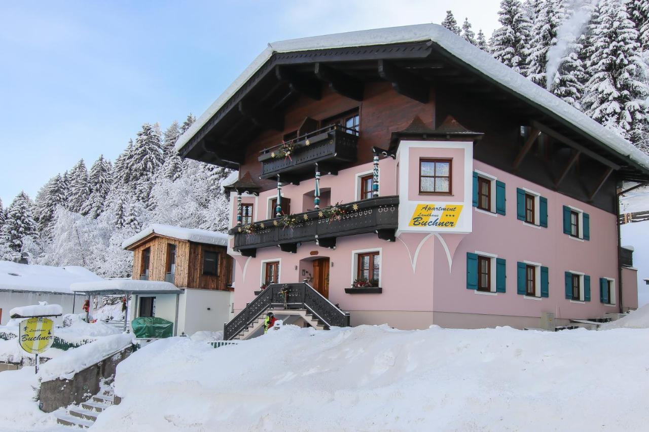 Apartment Landhaus Buchner Zell am See Exterior photo